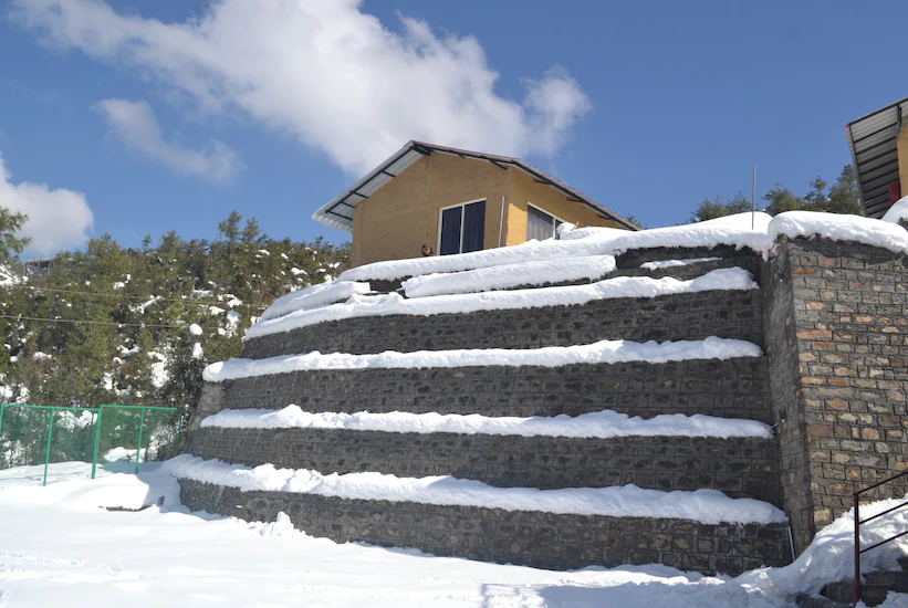 201605171211003966-61f6fe22d97e11e6b1510224510f5e5b