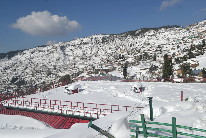 201605171211003966-d34541d4d97d11e69ae502755708f0b3