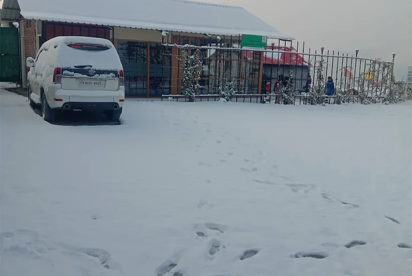 501bba74bf9511eb81a70242ac110003