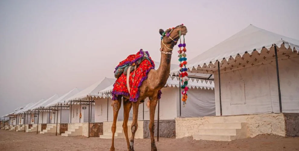 8ad1ee5484b611ecaad80a58a9feac02