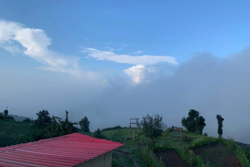 b8ebbbdcd20011e9b6ae0242ac110002